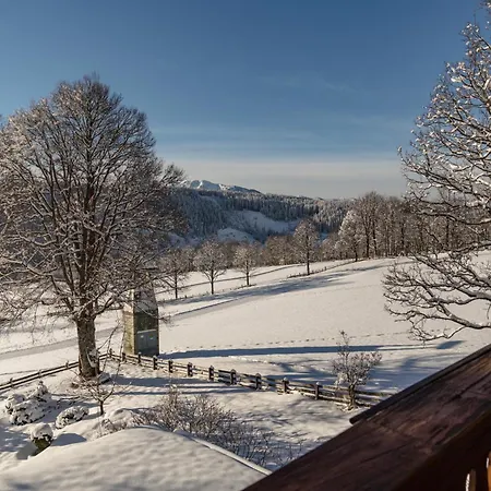 Ramsauhof Pool & Wellness Готель