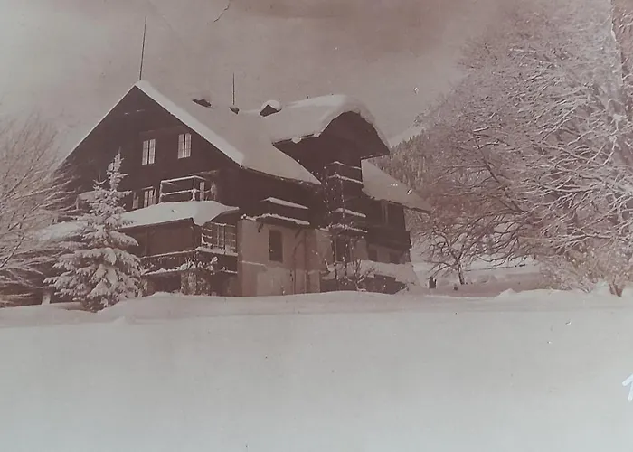 Otel Ramsauhof Pool & Wellness 4*